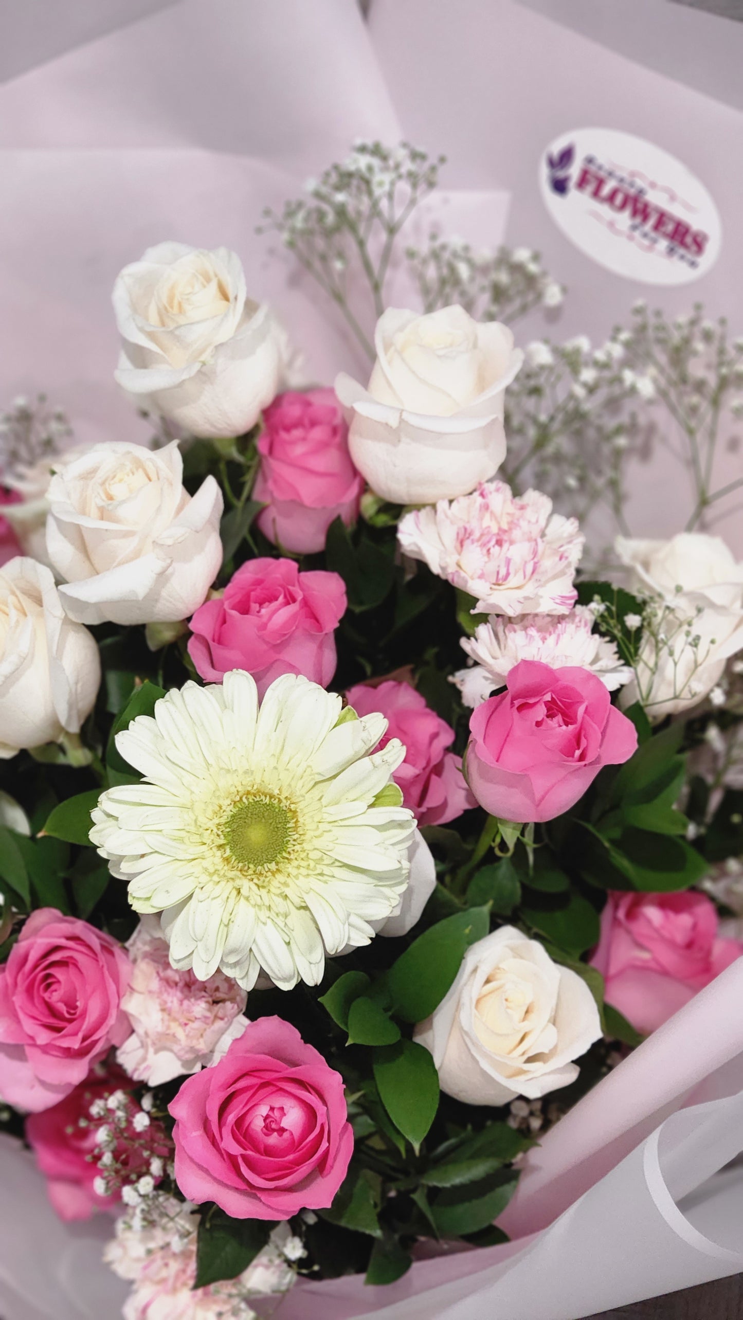 Pastel Passion