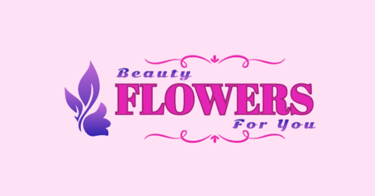 Beauty cheap for you
