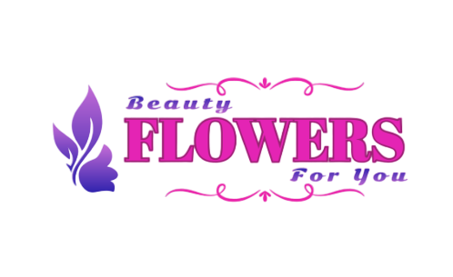 Beauty Flowers For You logo
